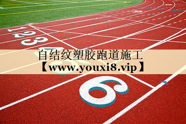 自结纹塑胶跑道施工 自结纹塑胶跑道施工