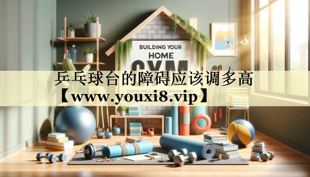 乒乓球台的障碍应该调多高 乒乓球台的障碍应该调多高
