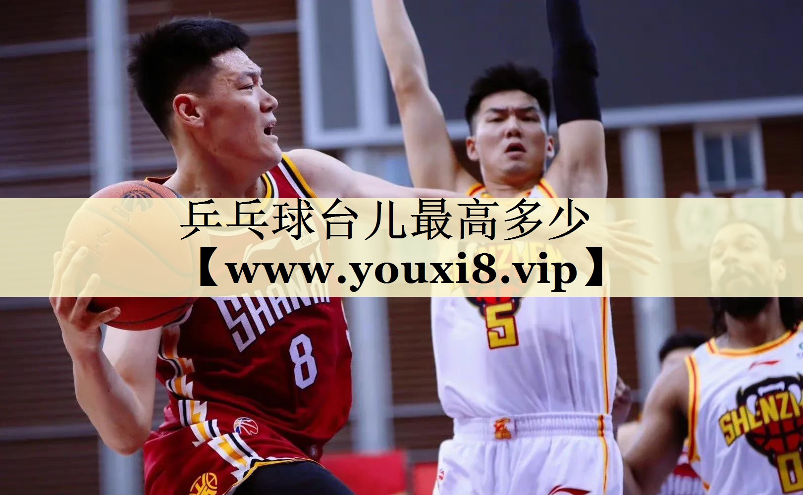 乒乓球台儿最高多少 乒乓球台儿最高多少