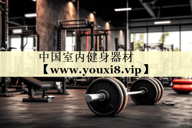 中国室内健身器材 中国室内健身器材