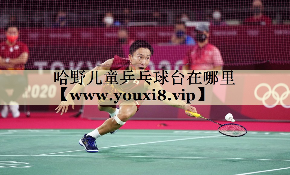 哈野儿童乒乓球台在哪里 哈野儿童乒乓球台在哪里