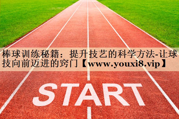 棒球训练秘籍:提升技艺的科学方法-让球技向前迈进的窍门 棒球训练秘籍:提升技艺的科学方法-让球技向前迈进的窍门