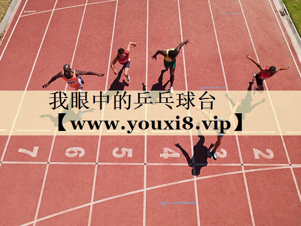 我眼中的乒乓球台 我眼中的乒乓球台