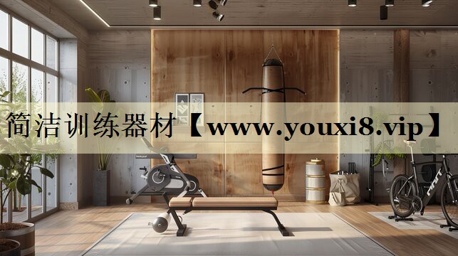 简洁训练器材 简洁训练器材