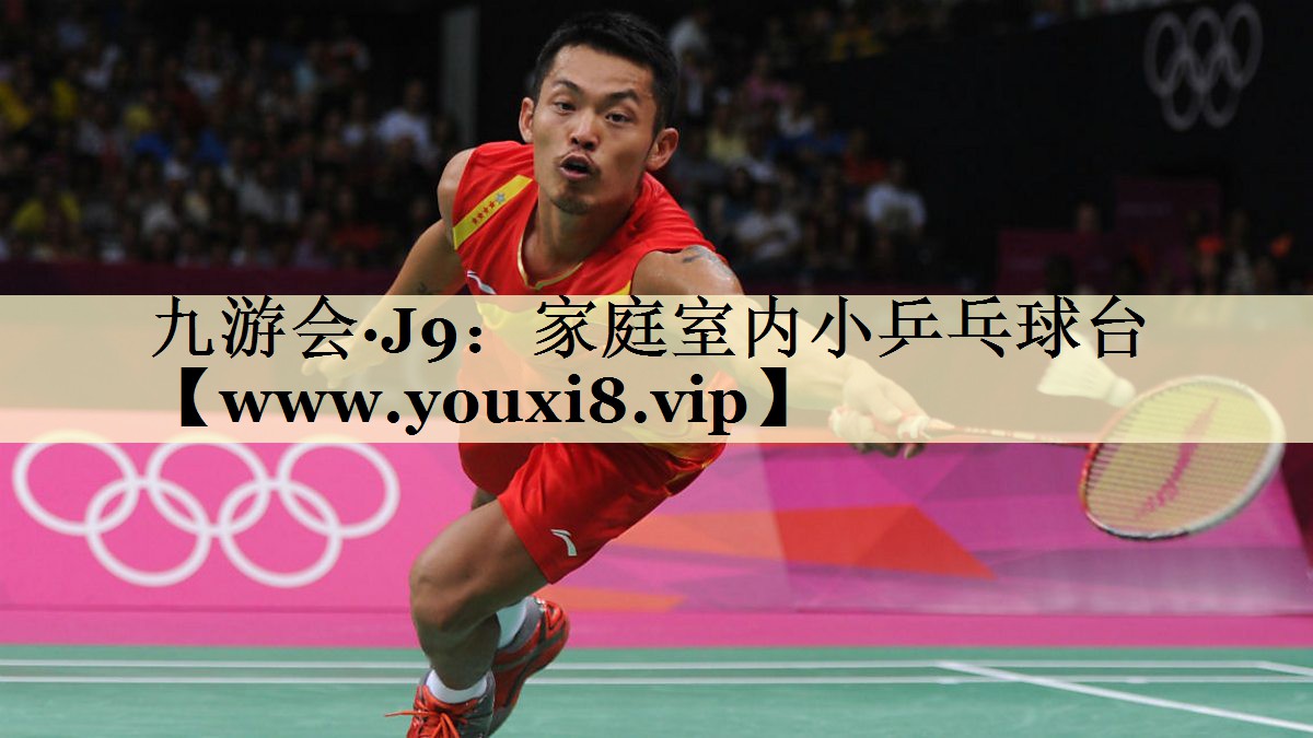 家庭室内小乒乓球台 家庭室内小乒乓球台