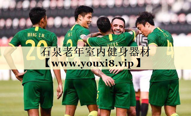 石泉老年室内健身器材 石泉老年室内健身器材