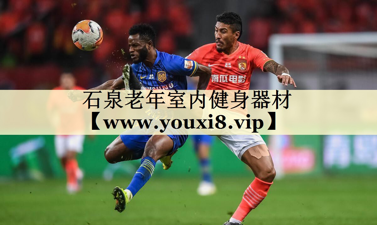 石泉老年室内健身器材 石泉老年室内健身器材