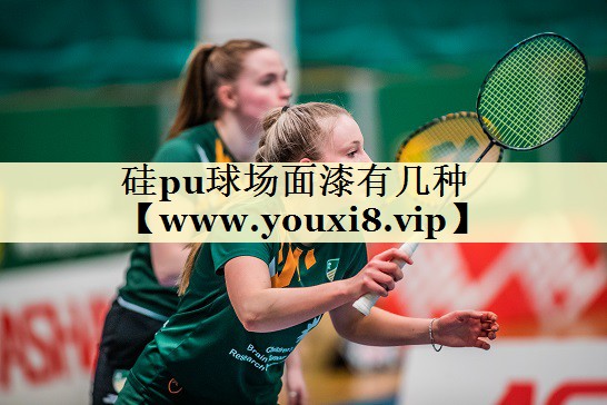 硅pu球场面漆有几种 硅pu球场面漆有几种