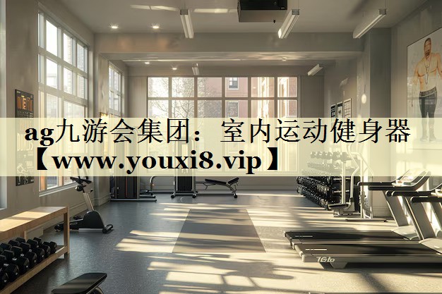 室内运动健身器 室内运动健身器
