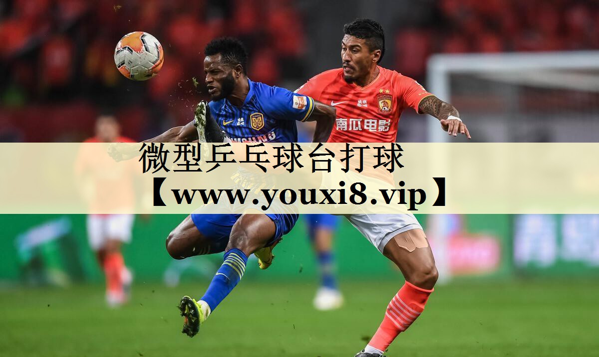 微型乒乓球台打球