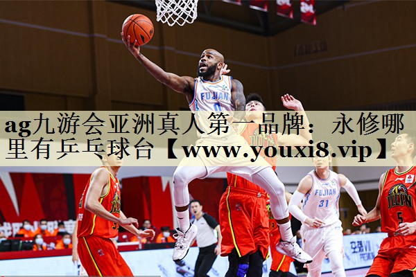 永修哪里有乒乓球台 永修哪里有乒乓球台